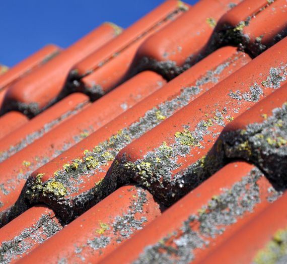 Démoussage et nettoyage de toiture à Voisins-le-Bretonneux 78960 dans la Yvelines 